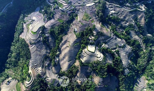 하늘에서 본 하장성 계단식 논(사진=안경환)