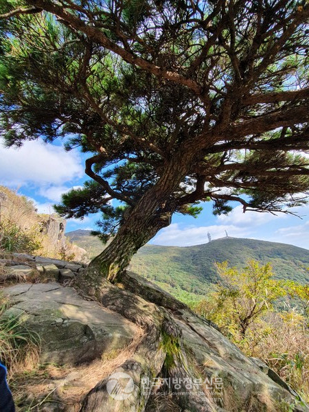 무등산 중봉에서 중머리재로 내려오다 보면 뿌리로 바위를 휘감듯 바위틈새에 뿌리를 내리고 우뚝 솟아있는 일송정 푸른솔에 천년의 경외감을 느낀다. 소나무 왼쪽 아래 저멀리 서석대 정상이 보이고 오른쪽으로 장불재가 손에 잡힐 듯 가까이 보인다.(사진/글=안경환)