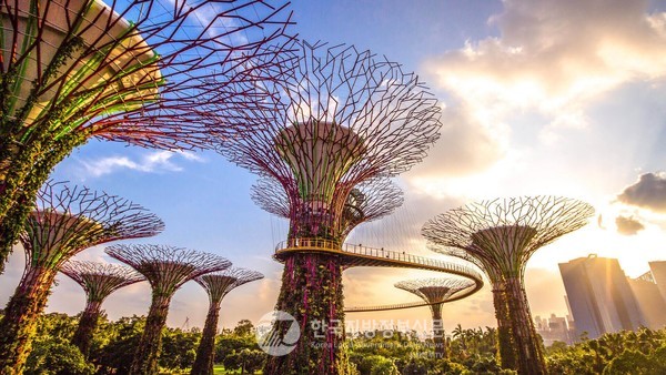 싱가포르 가든스바이더베이 슈퍼트리 (사진 출처 가든스바이더베이 공식홈페이지)