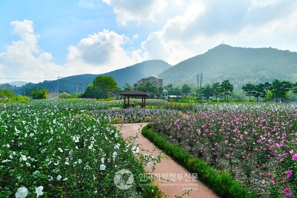 국내 최대, 최고의 무궁화 명소로 공인된 장성무궁화공원 전경(사진=장성군)