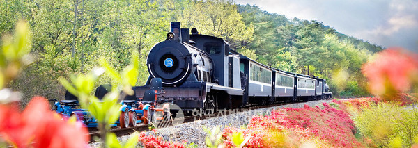 곡성 섬진강 기차마을의 상징으로서 추억과 감성을 싣고 섬진강변을 달리는 증기기관차(사진=곡성군청)