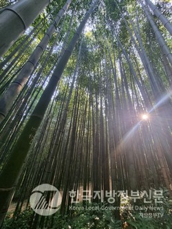 담양 죽녹원(사진=이길연 기자)