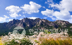 남한의 금강 영암 월출산 국립공원(사진=영암군청)