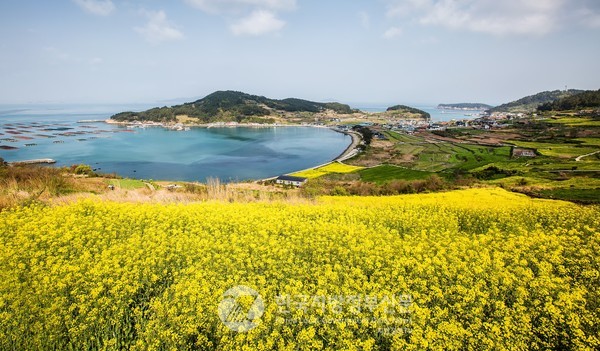 전남 관광지가 시니어 세대 관광 1번지로 부상했다. 완도 청산도의 봄(사진=전남도청)