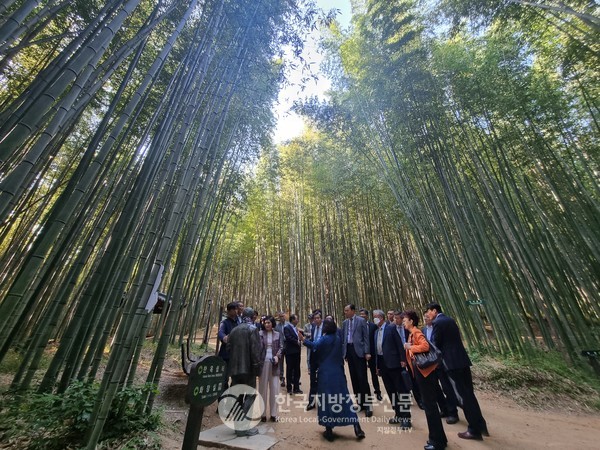 전남 관광지의 명성은 세계에서도 인정받고 있다. 담양 죽녹원 대나무 숲(사진=조용원 기자)