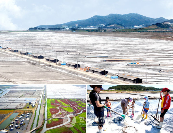 전남 신안군 증도에 있는 국내 최대 규모의 태평염전(사진=태평염전)
