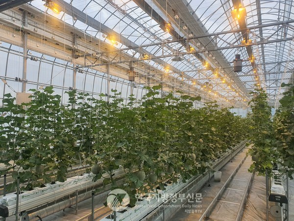 용인특례시가 100억원을 투입, 스마트 온실을 신축하는 등 기반시설 확대를 통해 과학기술을 접목한 친환경농업을 실천한다.