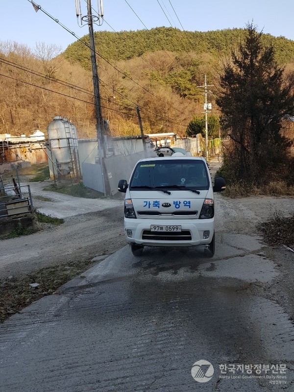 경북도는 최근 영덕 야생 멧돼지에서 아프리카돼지열병(ASF) 바이러스가 검출됨에 따라 농장 차단 방역에 니섰다/사진=경북도