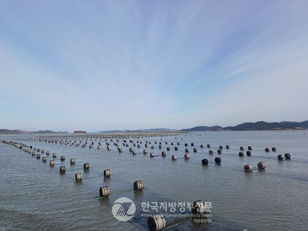 전남 신안군이 전국 최초로 해양수산부의 '김산업 진흥구역' 지정 공모사업에 선정됐다(사진=신안군청)