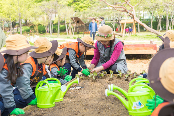 사진은 꼬마농부학교 현장 모습 (사진=양천구청)