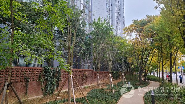 대구 북구에 조성된 미세먼지 차단을 위한 도시숲/사진=대구시