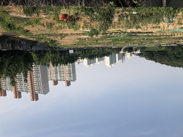 미개발된 영통지구 종합의료시설 부지 (사진=수원시청)