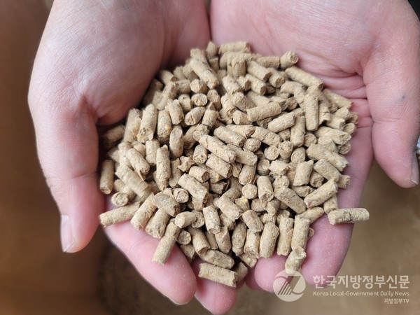 홍천군이 도내에서 유일하게 생산하고 있는 펠렛형 입상 미생물/사진=홍청군
