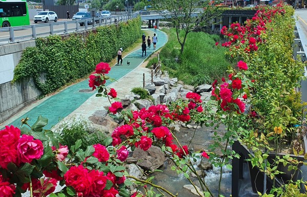 식생플랜터 설치 완료된 별빛내린천 (사진=서울 관악구청)