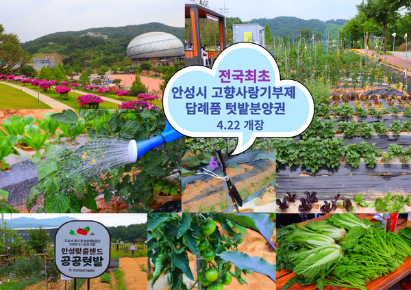고향사랑기부 답례품 텃밭 분양권 (자료=안성시청)