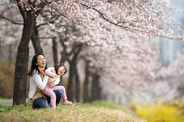  서울시가 봄꽃을 마음껏 즐길 수 있는 '서울의 아름다운 봄 꽃길 171선'을 소개했다. (사진=서울시청)