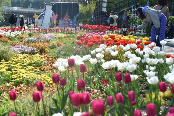 서울 노원구(구청장 오승록)가 봄을 맞아 하천변을 포함 주요 산책로, 공원 등에 유럽을 연상케 하는 특화화단을 조성하고 있다고 밝혔다. 사진은 당현천 특화화단 모습 (사진=노원구청)