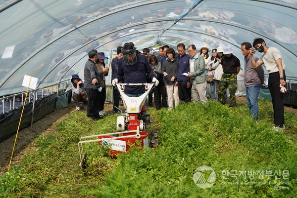미나리 종묘 수확기 시연/사진=경북도