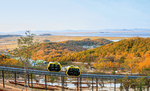 김충진 시 문화체육관광국장은 “평화관광의 새로운 비전을 제시하고, 관광객들을 위한 다양한 볼거리와 즐길거리를 선보여 평화관광 명소가 되도록 최선을 다하겠다”고 말했다. 교동도 화개정원 사진 (사진=인천시청)