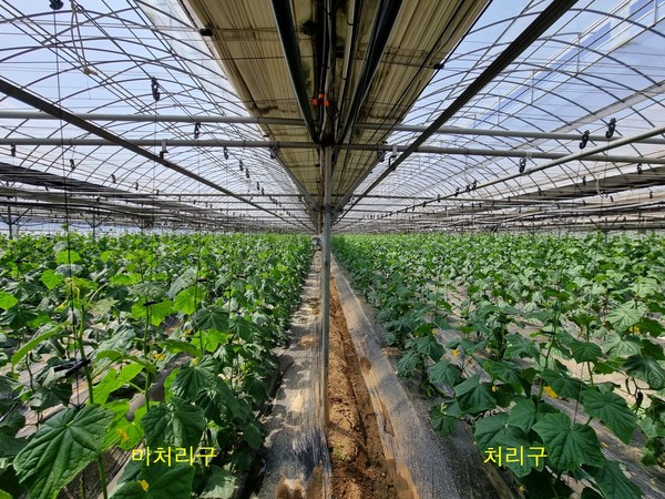 사진=경기도농업기술원