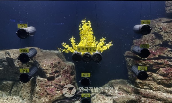 바다에서만 서식하며 바위틈이나 구석진 곳에 숨어 지내는 습성이 있는 붕장어가 살수 있도록 아파트형 서식지가 개발됐다(사진=전남도해양수산과학원)