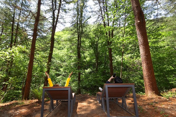 경기도 ‘연인산 명품 계곡길’이 산림청이 주관한 국토녹화 50주년 기념 걷기 좋은 명품숲길 경진 대회(2차) 1위에 선정됐다. (사진=경기도)