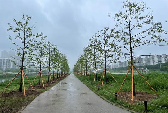 바람 연결숲 모습 (사진=서울시)