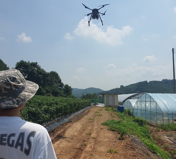 ‘2023 드론 실증도시 구축사업’에 강원도 유일하게 선정된 영월군은 기존 수동 관수 시스템을 대체하여 ‘정밀 스마트 관수 시스템과 드론 원격탐사 기술’을 노지 작물 중 하나인 고추재배에 적용하여 괄목할 만한 성과를 올리고 있다. (사진=영월군)