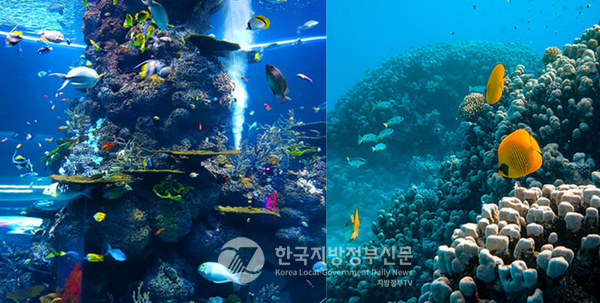 (사)한국해양환경보호중앙회(회장 김용모)와 광양시지회(회장 황성연)는 오는 9월 6일 오전 11시부터 전남 광양시 중마일반부두 해양공원 일원에서 해양환경오염 제로화를 위해 ‘탄소중립 캠페이너 전국대회’를 개최한다.(사진=한국해양환경보호중앙회)