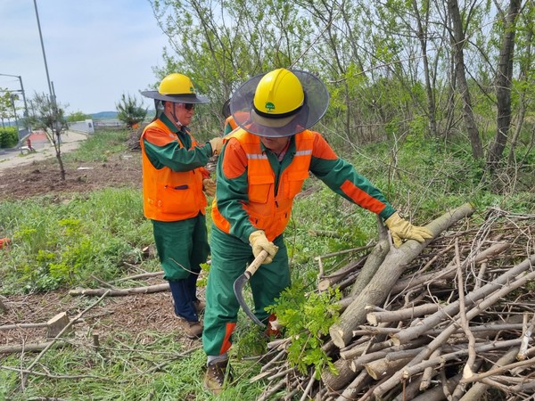 충남도는 가을철 조림·숲 가꾸기 사업 추진에 발맞춰 ‘미이용 산림바이오매스 수집단’을 통한 산림 자원 수집 활동을 확대할 계획이라고 29일 밝혔다.