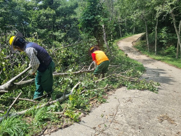 '미이용 산림바이오매스 수집단' 활동 (사진=충남도)