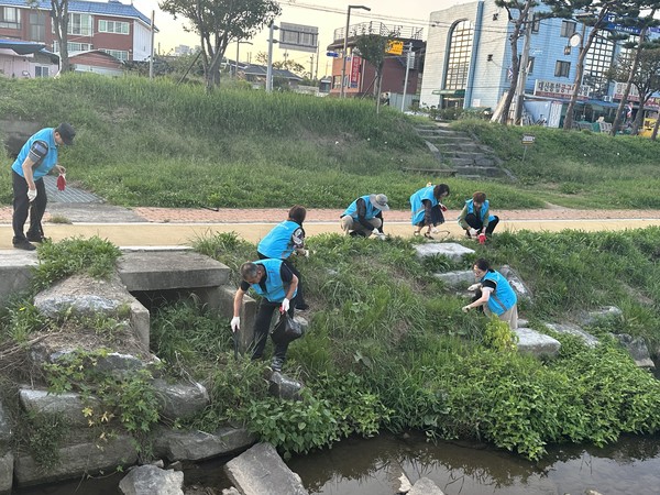 홍성읍 주민자치회(회장 김종만)는 최근 깨끗한 홍성천을 만들기 위해 탄소중립 실천 캠페인‘EM흙공 던지기’ 활동을 진행했다. (사진=홍성군)