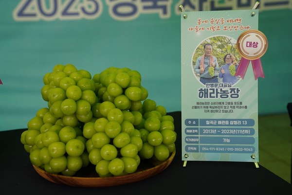 이와 관련 경상북도농업기술원은 10월 13일부터 14일까지 2일간 대구 엑스코(EXCO)에서 "경북 샤인머스켓 명성회복! 소비자가 다시 찾다"라는 주제로 '경북 샤인머스켓 품평회 및 홍보행사'를 개최하고 있다. (사진=경북도)