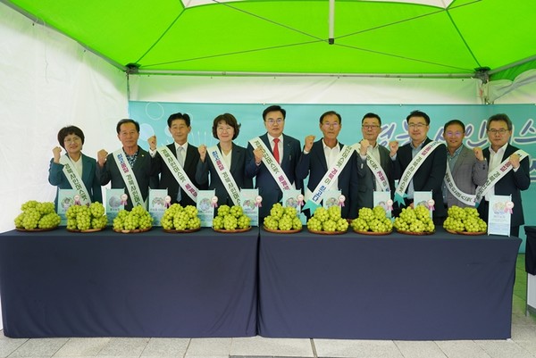 경북 샤인머스켓 품평회 모습 (사진=경북도)