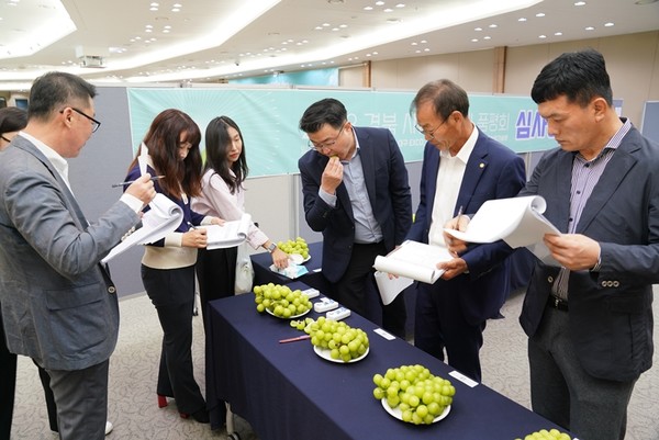경북 샤인머스켓 품평회 모습 (사진=경북도)