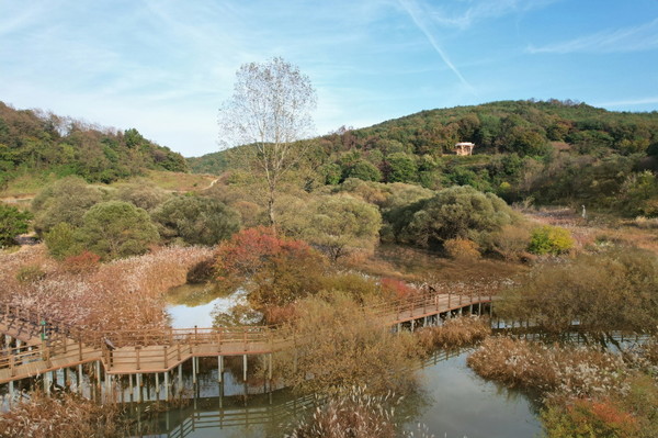 문경시는 세계적으로 희귀한 ‘문경돌리네습지’가 환경부에서 지정하는 국가 생태관광지역으로 신규 지정됐다고 지난 19일에 밝혔다. (사진=문경시)