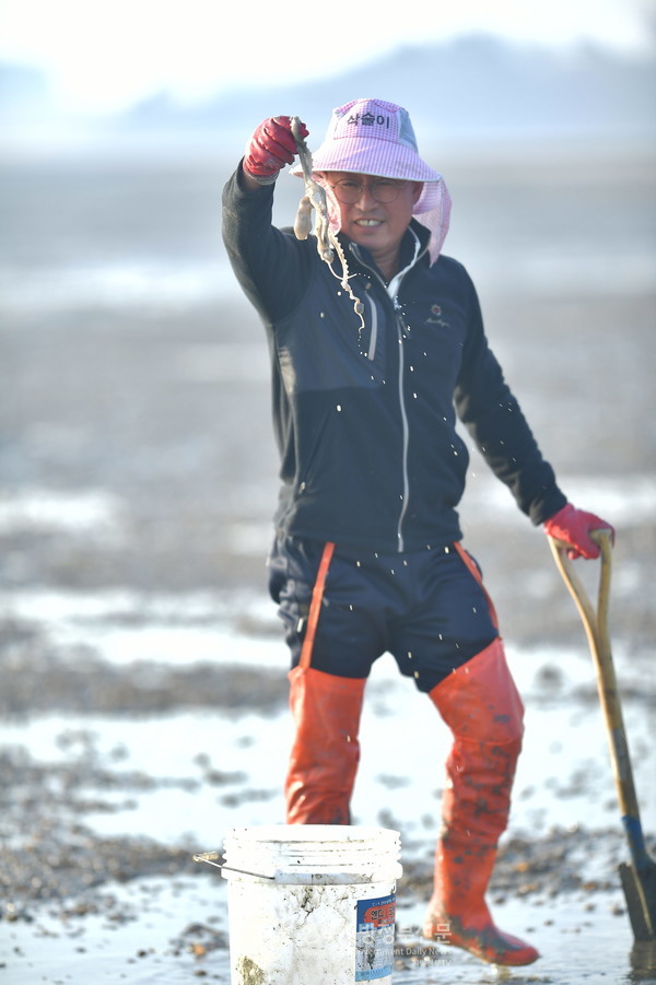 무안 갯벌낙지가 2007년도에는 약 29만 접(1접 20마리)의 어획량을 올렸으나 지금은 약 10만접 수준으로 감소했다(사진=무안군청)