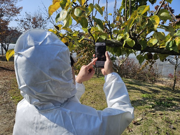 충북 괴산군(군수 송인헌)은 과수화상병 확산 방지를 위해 11월 3일까지 진행하는 4차 정기예찰에 충북 최초로 스마트 예찰 방식을 시범 적용한다. {사진=괴산군 농업기술센터)