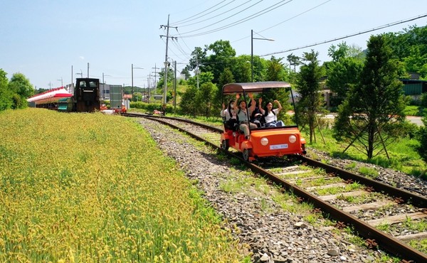 춘천시가 2024 열린관광지 공모사업에 선정되어 모두가 즐기는 관광도시에 한걸음 다가가게 되었다. 김유정 레일바이크 모습 (사진=레일바이크 홈페이지)