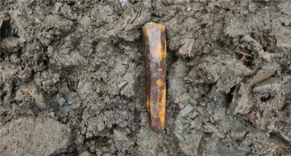 양주시(시장 강수현)와 재단법인 기호문화재연구원(원장 고재용)은 문화재청에서 예산을 지원받아 추진 중인 양주 대모산성(사적 제526호)에 대한 13차 학술발굴 조사 중 성내 상단부 집수시설에서 태봉국의 연호가 쓰인 목간이 출토됐다고 밝혔다. (사진=양주시)