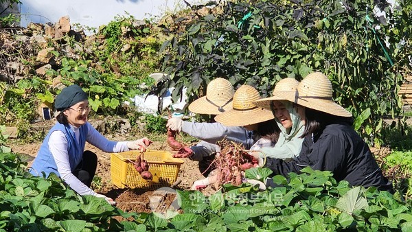 '조만간 프로젝트' '강진에서 일주일 살기(사진)' 등의 사업 성과를 인정받은 전남 최초로 설립된 '강진군문화광광재단'이 정부 최고 권위의 상인 '2023 한국관광의 별'에 선정됐다(사진=강진군청)