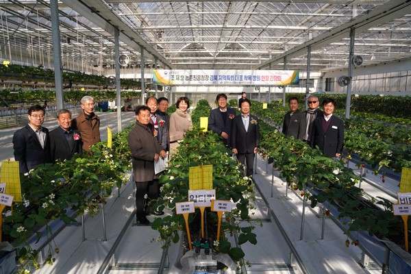 성주참외과채류연구소는 국가 대표 특화작목 전담 연구기관으로 지정됨에 따라 급변하는 기상이변에 대응하고 노동력 부족을 해결하기 위해 디지털 기술을 활용한 미래 참외 생산 시스템 연구에 박차를 가할계획이다. (사진=경북도)