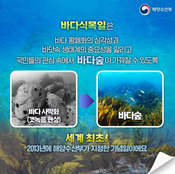 포항시는 오는 5월 10일 개최될 예정인 제12회 바다식목일 기념행사가 경북 최초로 포항에서 열리게 됐다고 밝혔다. (자료=해양수산부)