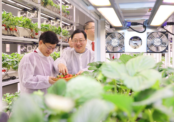 대전시는 전국 최초 중구 대흥동 지역의 공실 건물을 활용한 스마트팜 기술 연구형 ‘대전팜’을 개장했다. (사진=대전시)