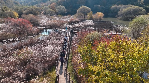 경북도는 도내 최초 람사르습지 등록을 계기로 생태관광지의 브랜드 가치를 높이기 위해 습지의 생태관광 자원화를 적극 추진한다. (사진=경북도)
