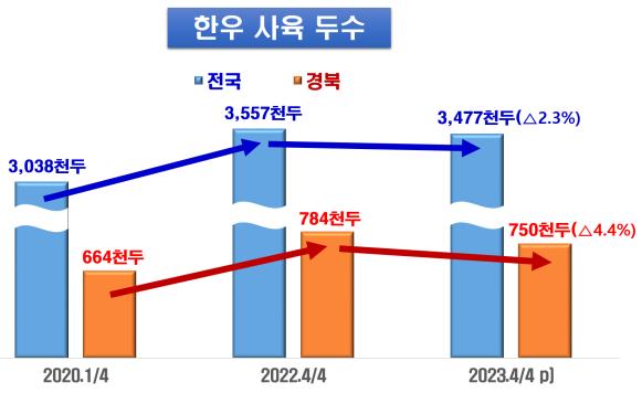 통계청 기준으로 국내 한우사육두수는 해마다 증가하는 추세였으나, 경북의 2023년 4분기 한우사육두수는 75만두로 전년동기 보다 4.4% 감소(전국 347만 7천두, 전년대비 2.3% 감소)했다. (자료=경북도)