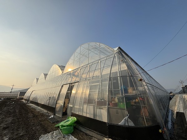 경기도가 2024년 선택형 맞춤농정 사업에 241억 원(도비 45억 원)을 투입해 배, 사과, 화훼, 벼 등 14개 품목을 집중 지원한다. (사진=경기도)