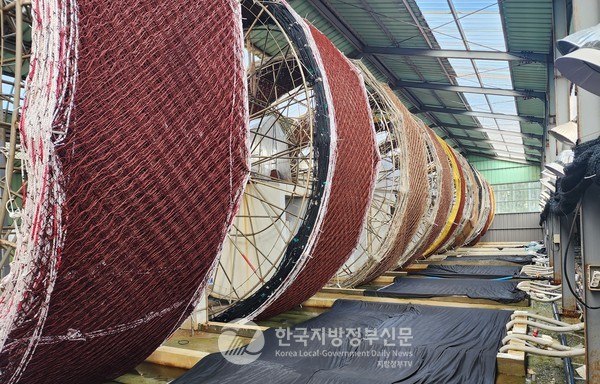 전라남도가 해양오염·이상수온에 대응해 친환경 스마트 수산양식산업 육성에 630억 원을 투입한다.  김 육상 채묘장.(사진=전남도청)