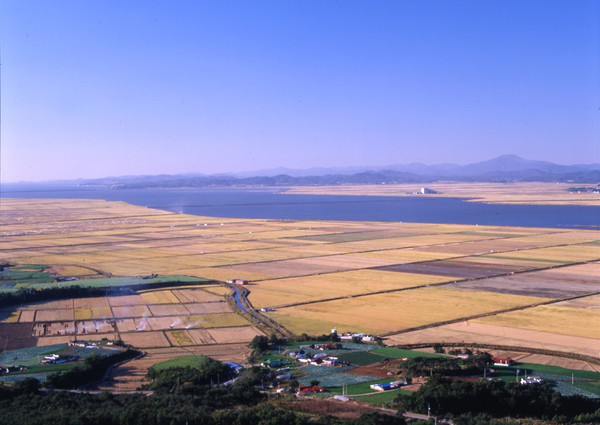 천수만 자전거길은 서산 A·B지구 방조제를 품은 서해와 광활한 농경지 사이로 탁 트인 시원한 경치를 구경할 수 있어 자전거 여행에 안성맞춤인 장소다. 서산A지구 간척지 전경 (사진=충남도) 