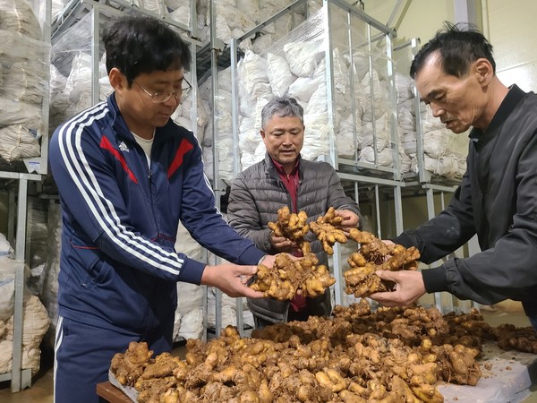 당진시는 지난해 공약사업으로 전국 최초로 시작한 농산물 저온저장 임차료 지원사업이 농가들로부터 큰 호응을 얻고 있다. (사진=당진시)